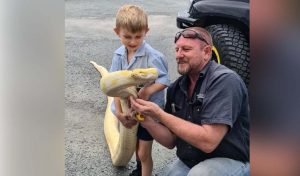Australian Woman Finds Huge Burmese Python On Her porch 2