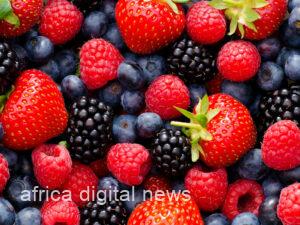 Berries